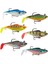 Wildeye Rippin Swim Shad Sahte Balığı Gfr-8cm - 3lu 1