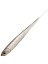 L16 Koneel Sahte Balığı K01-200MM - 4lu 1