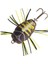 Notobug Floating Lrf Yemi 03-30MM 1