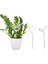 Yıldız Stili Otomatik Kendinden Sulama Cihazı Houseplant Bitki Pot Sulama Ampulleri Kuş Şekli Bahçe Sulama Tesisi Çiçek Sulama Aracı (Yurt Dışından) 3