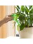 Sarı Stil Otomatik Sulama Cihazı Houseplant Bitki Pot Ampul Küre Bahçe Ev Waterer Bahçe Sulama Sistemi Damla Sulama Sıcak Satış (Yurt Dışından) 3