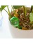 Sarı Stil Otomatik Sulama Cihazı Houseplant Bitki Pot Ampul Küre Bahçe Ev Waterer Bahçe Sulama Sistemi Damla Sulama Sıcak Satış (Yurt Dışından) 5