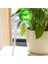 Açık Gri Tarzı Otomatik Sulama Cihazı Houseplant Bitki Pot Ampul Küre Bahçe Ev Waterer Bahçe Sulama Sistemi Damla Sulama Sıcak Satış (Yurt Dışından) 2