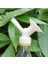 Stili Temizle Otomatik Sulama Cihazı Houseplant Bitki Pot Ampul Küre Bahçe Ev Waterer Bahçe Sulama Sistemi Damla Sulama Sıcak Satış (Yurt Dışından) 1
