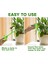 6 Adet Karışık S Takım Stili Otomatik Bitki Kendinden Sulamalı Ampul Topları Ev Bahçe Can Houseplant Cihazı Damla Sulama Sistemi Çiçek Su Besleyici (Yurt Dışından) 3