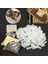 Bir Stil Resim Olarak Plastik Arı Hücresi Kupası Arıların Daha Iyi Yetiştirilmesi ve Yönetimi Ana Kraliçe Yetiştirme Sistemi Yetiştirme Kutusu Arıcılık Aleti (Yurt Dışından) 2