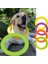 No.3 Tarzı S Beden Pet Uçan Diskler Eva Köpek Eğitim Halkası Çektirme Dayanıklı Bite Yüzen Oyuncak Köpek Yavrusu Açık Interaktif Oyun Oynama Ürünleri Temini (Yurt Dışından) 4