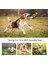 PT001-MAVI Kalp Stili Chew Play Oyuncaklar Sevimli Pet Köpek Kedi Köpek Chew Squeaker Quack Ses Bebek Oyuncak Yaratıcı Simülasyon Donut Pet Malzemeleri Köpek Oyuncakları (Yurt Dışından) 2