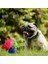 Rastgele Gönderilen Stil Çap 7cm Komik Pet Köpek Ayak Baskı Topu Oyuncak Renkli Ses Cızırtılı Oyuncaklar Köpekler Kediler Için Yumuşak Kauçuk Çiğneme Sesi Etkileşimli Top Oyuncakları (Yurt Dışından) 3