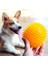 No.4 Tarzı Miflame Molar Köpekler Köpekler Oyuncaklar Için Top Labrador Pug Çiğneme Squeak Köpekler Büyük Köpekler Için Aksesuarlar Malzemeleri Bouncy Bite Dayanıklı (Yurt Dışından) 4