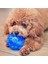 Mavi Stil Köpek Diş Fırçalama Pet Chew Diş Temizleyici Köpek Diş Temizleme Egzersiz Topu Isırmaya Dayanıklı Ses Molar Eğitim Topu (Yurt Dışından) 3