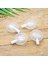 33X14MM Stili 50 Parça Plastik Çığlık Eklentisi Dıy Köpek Aksesuarları Peluş Evcil Hayvan Oyuncak Çok Özellikli Onarım ve Değiştirme Çığlığı (Yurt Dışından) 5