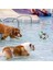 P Stili Küçük Köpekler Için Queaky Kauçuk Pet Köpek Top Oyuncaklar Kauçuk Chew Yavru Oyuncak Köpek Şeyleri Köpekler Oyuncaklar Top Pet Eğitim Ürünleri (Yurt Dışından) 4