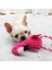 Sarı Piliç Tarzı Resim Olarak Sevimli Peluş Flamingo Köpek Chew Oyuncaklar Küçük Doguahua Için Fransız Bulldog Interaktif Cızırtılı Ses Yavru Oyuncak Mascotas Malzemeleri (Yurt Dışından) 3
