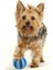 Sarı Stil Çap 4.8cm Köpek Oyuncak Iq Chew Dayanıklı Lastik Top Sızıntı Gıda Diş Fırçası Diş Kaşıyıcı Etkileşimli Pet Diş Çıkarma Eğitim Gıda Dağıtıcı Oyun Topu (Yurt Dışından) 5
