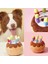 Bir Stil 1 Adet Kek Şekli Köpek Oyuncak Komik Isırmaya Dayanıklı Peluş Köpek Cızırtılı Oyuncak Pet Isırma Oyuncaklar Köpek Mutlu Doğum Günü Pet Malzemeleri (Yurt Dışından) 2