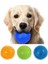 Turuncu Tarzı L-11CM Pet Köpek Oyuncaklar Kedi Köpek Sondaj Oyuncak Polka Gıcırtılı Diş Temizleme Topu Tpr Eğitim Pet Diş Çiğneme Oyuncak Diken Topları Aksesuarları (Yurt Dışından) 2