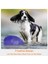 Kırmızı Stil 18CM Prettybetter Silikon Uçan Daire Köpek Kedi Oyuncak Köpek Oyunu Uçan Diskler Dayanıklı Çiğneme Köpek Eğitimi Interaktif Köpek Malzemeleri (Yurt Dışından) 3