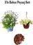 Mavi Çalı PAPAPTYASI(15-30CM)+SARI Petunya ÇIÇEĞI(20-30CM)+2LT Curf Dekoratif Taş 1
