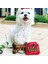 Köpekler Kemik Stilini Sever Lüks Tasarımcı Köpek Oyuncakları – Chewy Vuitton, Koleksiyon Squeak Toy| Eşsiz Peluş Squeak Bone Köpek Oyuncakları (Yurt Dışından) 3