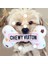 Köpekler Kemik Stilini Sever Lüks Tasarımcı Köpek Oyuncakları – Chewy Vuitton, Koleksiyon Squeak Toy| Eşsiz Peluş Squeak Bone Köpek Oyuncakları (Yurt Dışından) 5