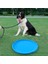 Köpek-Kırmızı Tarzı Çap 22CM Pet Köpek Uçan Diskler Oyuncak Çevre Dostu Yumuşak Kauçuk Yüzer Ufo Dayanıklı Bite Disk Oyuncaklar Yavru Köpek Için Açık Eğitim Malzemeleri (Yurt Dışından) 4