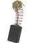 10 Adet 15MM x 10MM x 5.9mm Elektrikli Alet Karbon Motor Fırçası (Yurt Dışından) 1