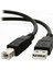 USB 2.0 Tarayıcı Yazıcı Kablosu Tip A Erkek Tip B Erkek USB Uzatma Baskı Kablosu Yazıcı HDD Için Yüksek Hızlı Şeffaf (Yurt Dışından) 4
