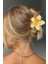 Hibiscus Asetat Mandal Toka 4