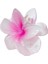 Hibiscus Lüks Asetat Mandal Toka 5