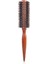 ZB-ZWMGS-12MM Stili Ahşap Saplı Domuzu Kılları Yuvarlak Fırça Saç Rulo Fırçası Profesyonel Saç Fırçası Saç Yuvarlak Tarak Salon Kuaförlük Şekillendirici Araçları (Yurt Dışından) 1