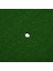 Academy Golf Alıştırma Matı - Kişisel Alıştırma Matı Taşınabilir Golf Alıştırma Matı (Yurt Dışından) 4