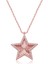 925 Ayar Gümüş Rose Fırfır Desenli Yıldız Kadın Kolye 1