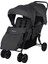 Bebe Confort Teamy Ikiz Bebek Arabası 0-22 kg Mineral Graphite 5