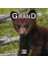 Devenir Grand Petit Ours (French Edition) - Pierre Demoitié 1