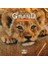 Devenir Grand Petit Lion (French Edition) - Pierre Demoitié 1