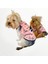 Pink Istanbul Atlet Köpek Kıyafeti Köpek Elbisesi 1