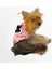 Pink Istanbul Atlet Köpek Kıyafeti Köpek Elbisesi 5