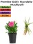 Pembe Gül (10-15 Cm)+(5-10 Cm) Kurdela Çiçeği Hediyeli Saksılı Dış Mekan Bitkisi 1
