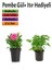 Bahçe Seti Pembe Gül+ Itır Çiçeği Hediyeli (10-25 Cm) Saksılı Dış Mekan Bitkileri 1