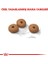Light Weight Care Diyet Kedi Maması 8 kg 2