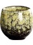 Çin Çay Bardağı Kulpsuz Drinkware 110 ml Fincanı Kung Fu G Için (Yurt Dışından) 2