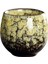 Çin Çay Bardağı Kulpsuz Drinkware 110 ml Fincanı Kung Fu G Için (Yurt Dışından) 3