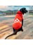 Adidog Red Hoodie Kapşonlu Sweatshirt Orta ve Büyük Köpekler Için 1