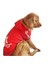 Adidog Red Hoodie Kapşonlu Sweatshirt Orta ve Büyük Köpekler Için 4