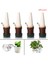 4pcs Bitki Kendi Kendine Sulama Kazıkları Otomatik Damlama Sivri Sulama Sistemi Bahçe Karşılaşması (Yurt Dışından) 5