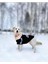 Adidog Black Hoodie Kapşonlu Sweatshirt, Orta ve Büyük Irklar Için Köpek Kıyafeti, 1