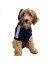 Adidog Black Hoodie Kapşonlu Sweatshirt, Orta ve Büyük Irklar Için Köpek Kıyafeti, 2