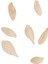 Limon Tohumları, 50 Tohum Yenilebilir 98% Saflıkta Balkon Için Avlu Için Limon Bonsai Ağacı Tohumları Bahçe Için (Yurt Dışından) 4