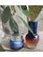 L'occıtane Immortelle Precious Göz Balmı 15ml 4